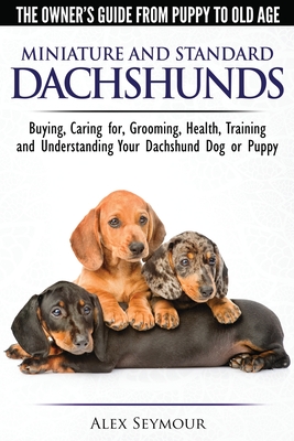 Dachshund store cheap